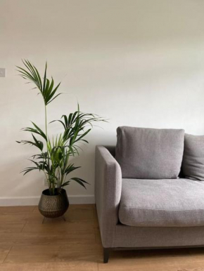 An Oasis in the heart of Hackney
